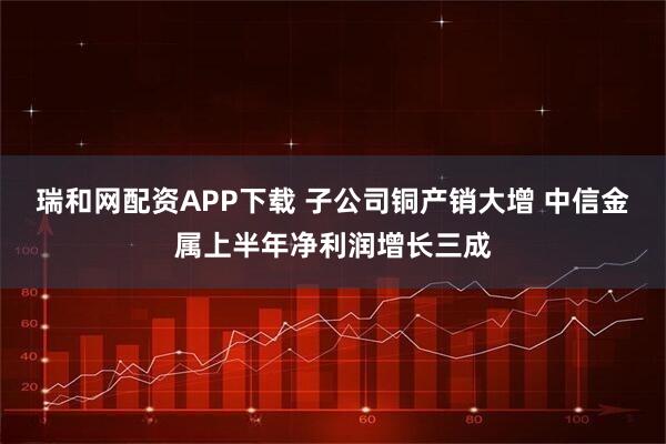 瑞和网配资APP下载 子公司铜产销大增 中信金属上半年净利润增长三成