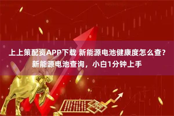 上上策配资APP下载 新能源电池健康度怎么查？新能源电池查询，小白1分钟上手